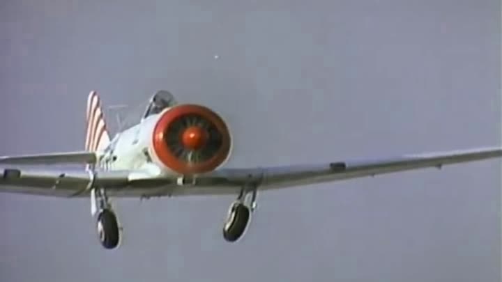 Shadows Of The Night